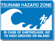 tsunami disaster